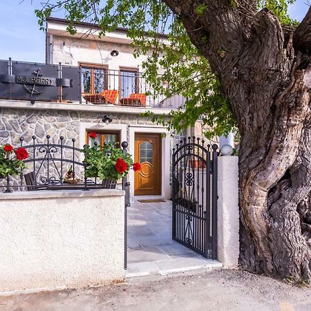 Villa Mulberry Milohnici Екстериор снимка